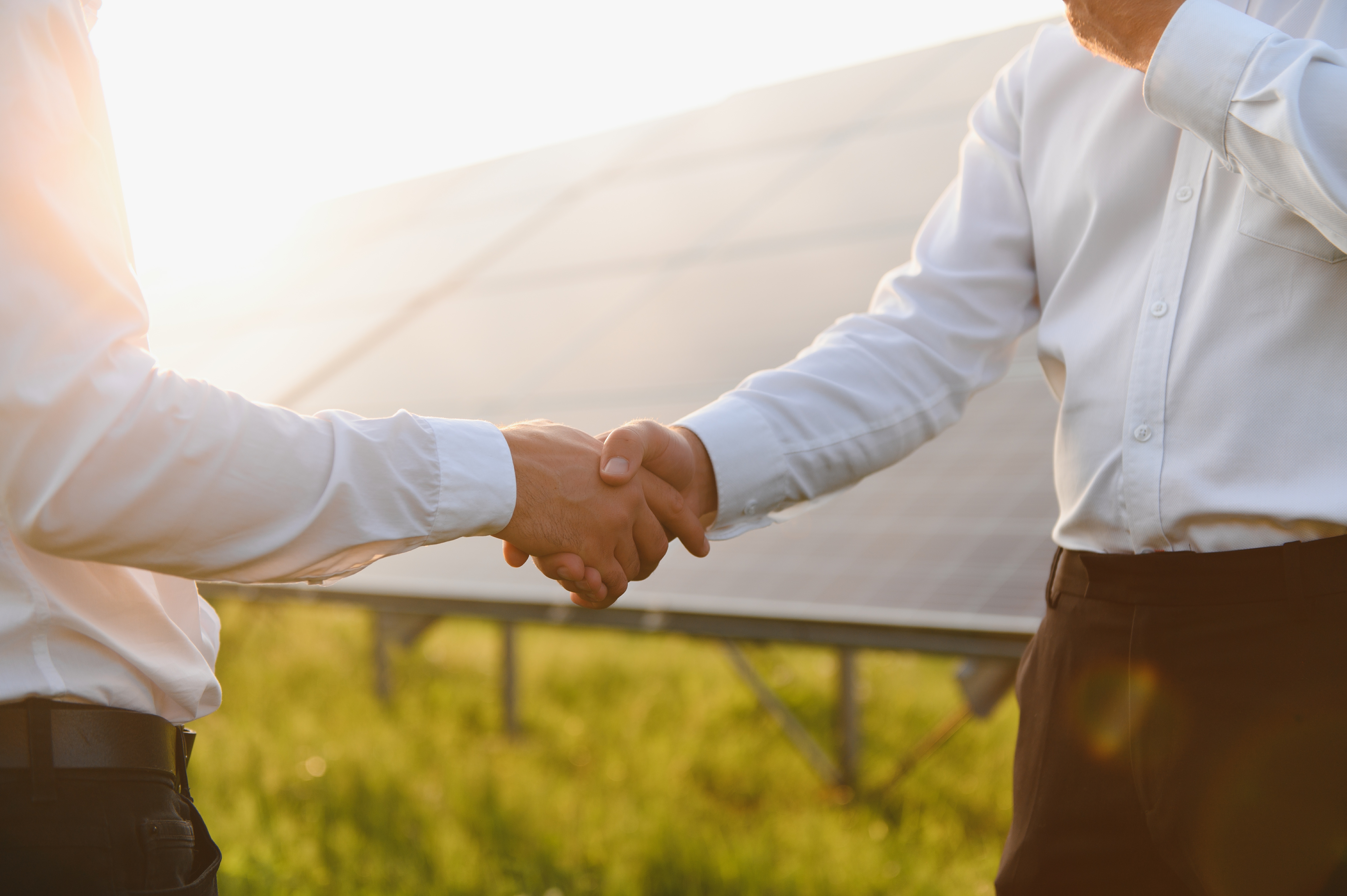 海外再エネ情報サービス事業